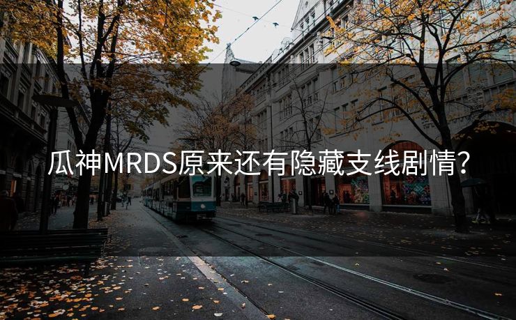 瓜神MRDS原来还有隐藏支线剧情？