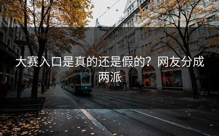 大赛入口是真的还是假的？网友分成两派