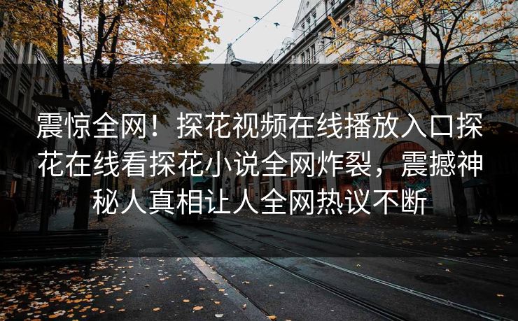震惊全网！探花视频在线播放入口探花在线看探花小说全网炸裂，震撼神秘人真相让人全网热议不断