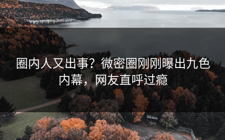 圈内人又出事？微密圈刚刚曝出九色内幕，网友直呼过瘾