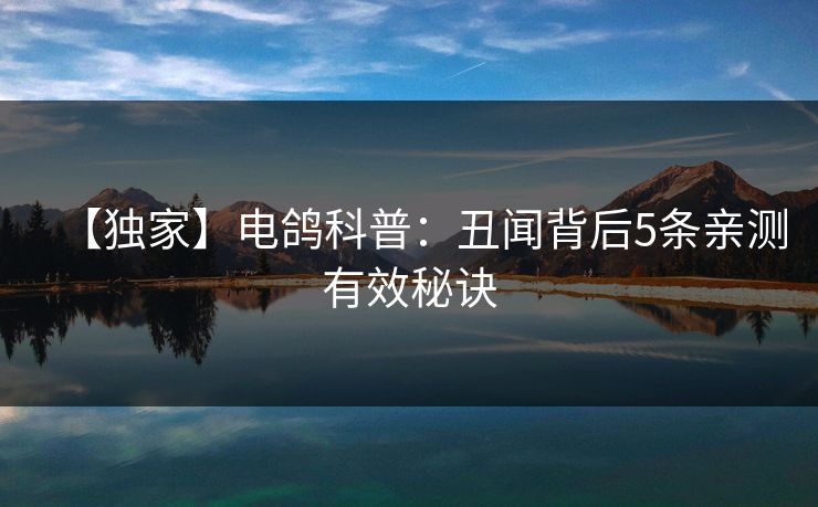 【独家】电鸽科普：丑闻背后5条亲测有效秘诀